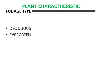 FOLIAGE TYPE
• DECIDUOUS
• EVERGREEN
PLANT CHARACTHERISTIC
 