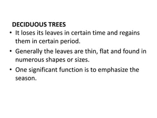DECIDUOUS TREES
• It loses its leaves in certain time and regains
them in certain period.
• Generally the leaves are thin, flat and found in
numerous shapes or sizes.
• One significant function is to emphasize the
season.
 