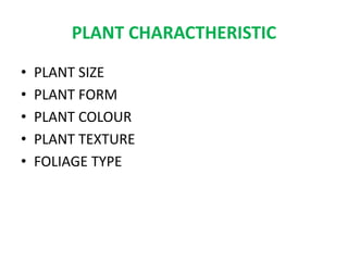 PLANT CHARACTHERISTIC
• PLANT SIZE
• PLANT FORM
• PLANT COLOUR
• PLANT TEXTURE
• FOLIAGE TYPE
 