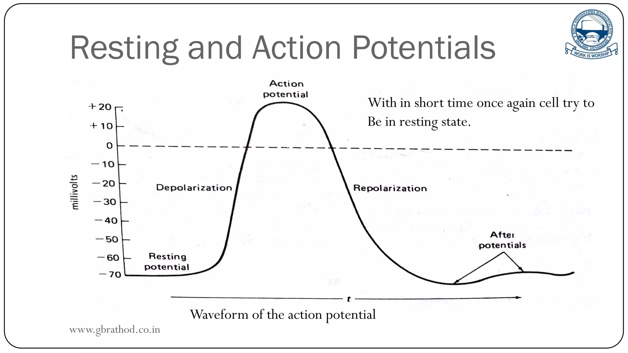 Resting and Action Potentials
With in short time once again cell try to
Be in resting state.
Waveform of the action potential
www.gbrathod.co.in
 
