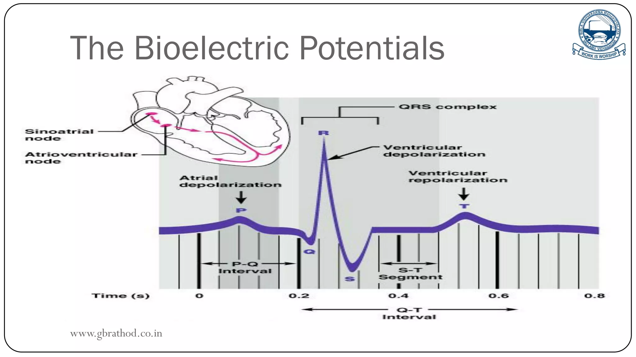 The Bioelectric Potentials
www.gbrathod.co.in
 