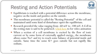Resting and Action Potentials
 Equilibrium is reached with a potential difference across the membrane,
negative on the inside and positive on the outside.
 This membrane potential is called the “Resting Potential” of the cell and
maintained until some kind of disturbance upset the equilibrium.
 Research provided the value ranging from -60 mV to -100 mV. A Cell in
the resting state is said to be polarized. Click here to for video animation
 When a section of a cell membrane is excited by the flow of ionic
current or by some form of externally applied energy,, the membrane
allows some Na+ and try to reach some balance of potential inside and
outside. Same time the some K+ goes outside but not rapidly like
sodium.
www.gbrathod.co.in
 