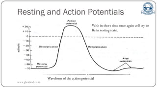 Resting and Action Potentials
With in short time once again cell try to
Be in resting state.
Waveform of the action potential
www.gbrathod.co.in
 
