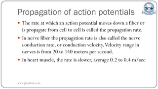 Propagation of action potentials
 The rate at which an action potential moves down a fiber or
is propagate from cell to cell is called the propagation rate.
 In nerve fiber the propagation rate is also called the nerve
conduction rate, or conduction velocity.Velocity range in
nerves is from 20 to 140 meters per second.
 In heart muscle, the rate is slower, average 0.2 to 0.4 m/sec
www.gbrathod.co.in
 