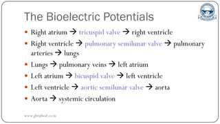 The Bioelectric Potentials
 Right atrium  tricuspid valve  right ventricle
 Right ventricle  pulmonary semilunar valve  pulmonary
arteries  lungs
 Lungs  pulmonary veins  left atrium
 Left atrium  bicuspid valve  left ventricle
 Left ventricle  aortic semilunar valve  aorta
 Aorta  systemic circulation
www.gbrathod.co.in
 
