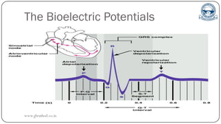 The Bioelectric Potentials
www.gbrathod.co.in
 