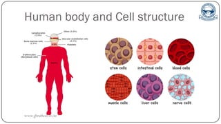 Human body and Cell structure
www.gbrathod.co.in
 