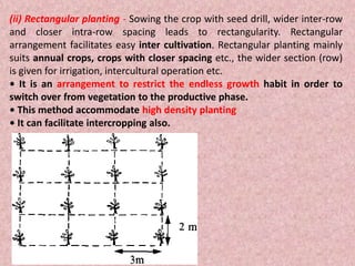 Seed and different methods of sowing | PPT
