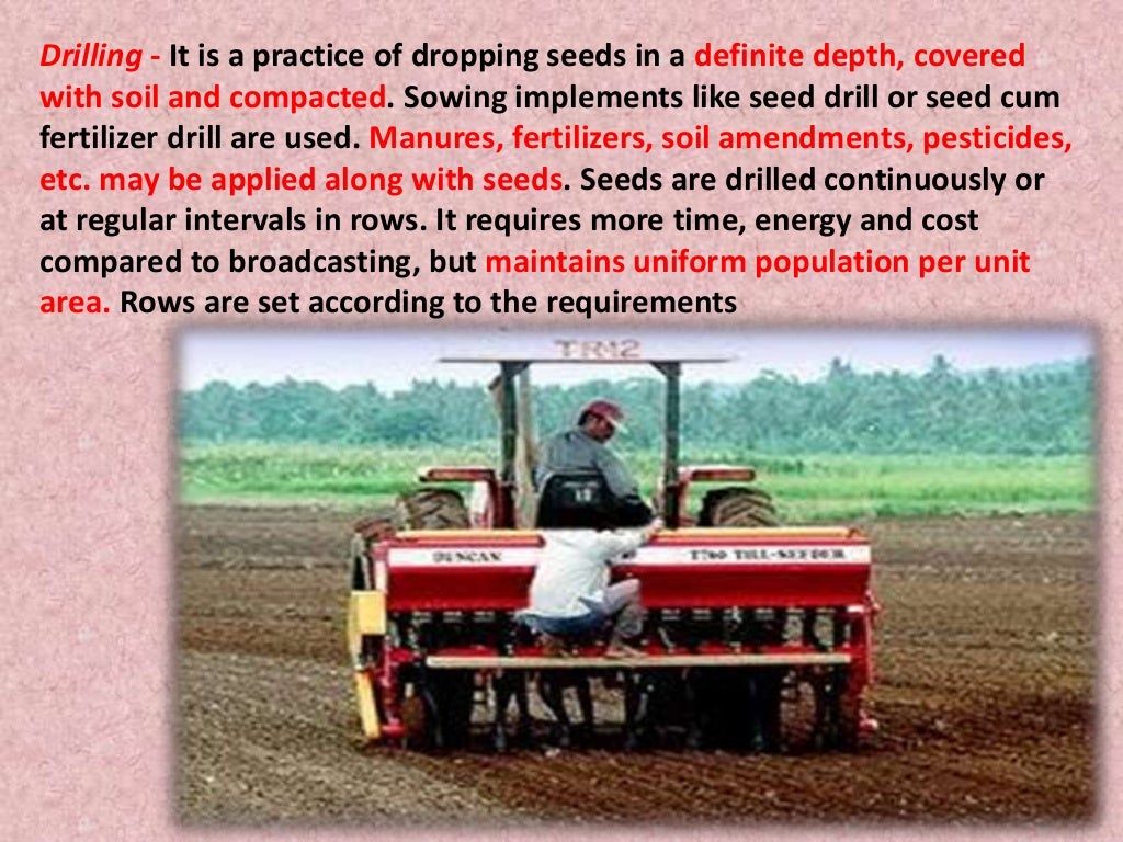 Seed and different methods of sowing