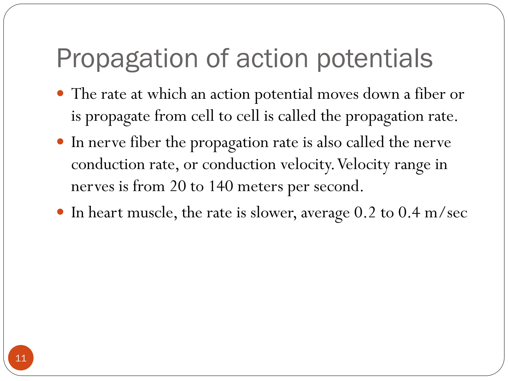 Propagation of action potentials
 The rate at which an action potential moves down a fiber or
is propagate from cell to cell is called the propagation rate.
 In nerve fiber the propagation rate is also called the nerve
conduction rate, or conduction velocity.Velocity range in
nerves is from 20 to 140 meters per second.
 In heart muscle, the rate is slower, average 0.2 to 0.4 m/sec
11
 