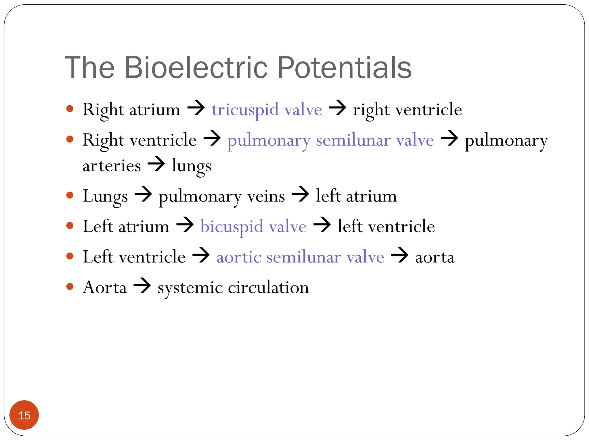 The Bioelectric Potentials
15
 Right atrium  tricuspid valve  right ventricle
 Right ventricle  pulmonary semilunar valve  pulmonary
arteries  lungs
 Lungs  pulmonary veins  left atrium
 Left atrium  bicuspid valve  left ventricle
 Left ventricle  aortic semilunar valve  aorta
 Aorta  systemic circulation
 