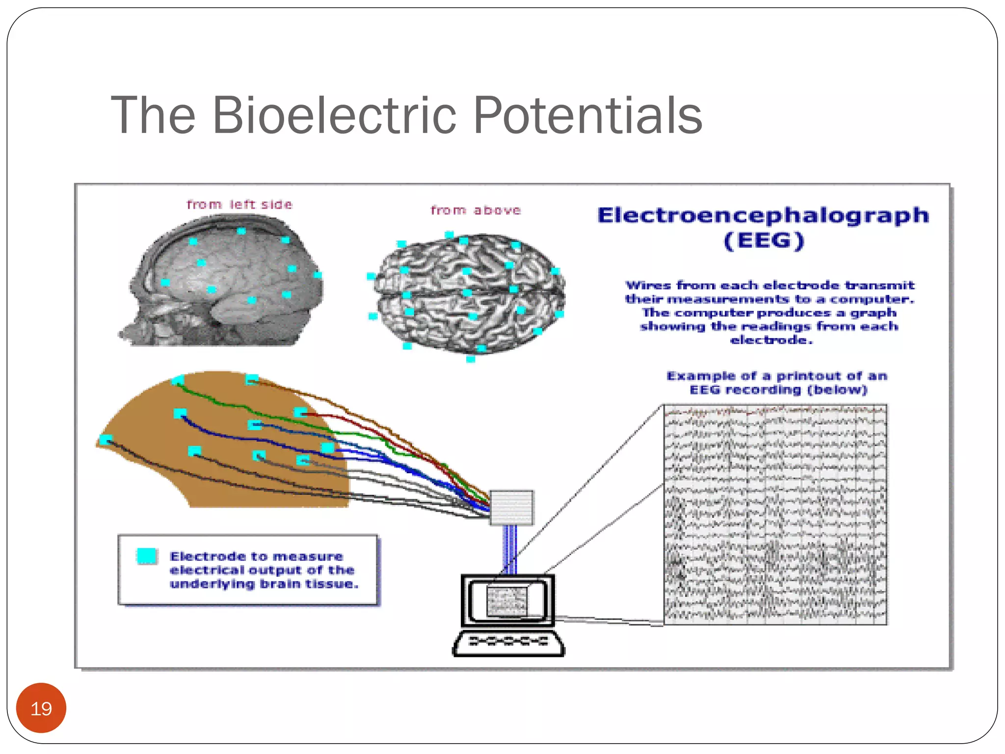 The Bioelectric Potentials
19
 