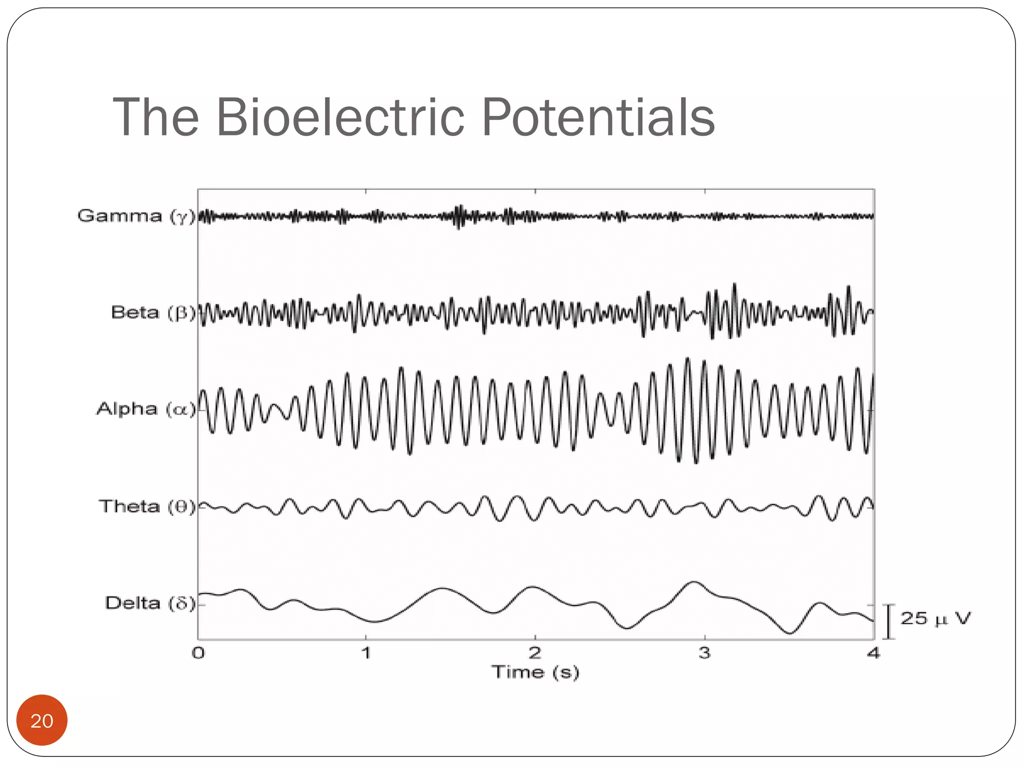 The Bioelectric Potentials
20
 