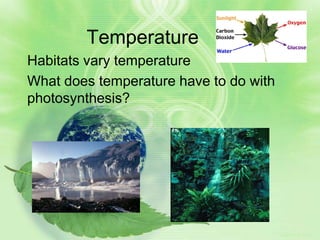 Temperature
Habitats vary temperature
What does temperature have to do with
photosynthesis?




                                        Rate of reaction
 
