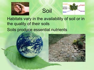 Soil
Habitats vary in the availability of soil or in
the quality of their soils
Soils produce essential nutrients
 