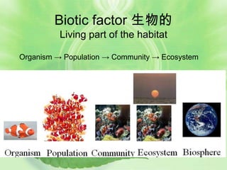 Biotic factor 生物的
          Living part of the habitat

Organism → Population → Community → Ecosystem
 