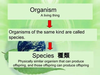 Organism
                    A living thing




Organisms of the same kind are called
species.



               Species 種類
      Physically similar organism that can produce
  offspring, and those offspring can produce offspring
 