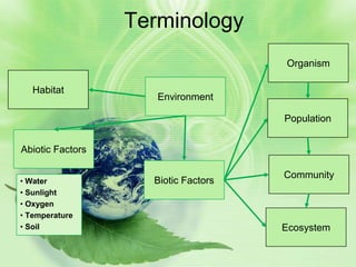Terminology
                                     Organism

   Habitat
                     Environment

                                     Population


Abiotic Factors

                                     Community
• Water             Biotic Factors
• Sunlight
• Oxygen
• Temperature
• Soil                               Ecosystem
 