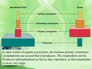 Abandoned Field                                        Ocean


                            Tertiary consumers



                           Secondary consumers


                            Primary consumers




                                Producers



In open waters of aquatic ecosystems, the biomass primary consumers
(zooplankton) can exceed that of producers. The zooplankton eat the
Producers (phytoplankton) as fast as they reproduce, so their population
is never very large.
 