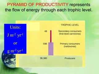 PYRAMID OF PRODUCTIVITY represents
the flow of energy through each trophic level.


  Units:
 J m-2 yr-1
    or
 g m-2 yr-1
 