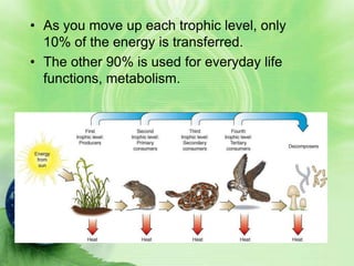 • As you move up each trophic level, only
  10% of the energy is transferred.
• The other 90% is used for everyday life
  functions, metabolism.
 