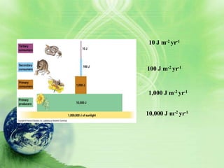 10 J m-2 yr-1



            100 J m-2 yr-1


             1,000 J m-2 yr-1


producers   10,000 J m-2 yr-1
 