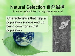 Natural Selection 自然選擇
    A process of evolution through better survival

Characteristics that help a
population survive end up
being common in that
population
 
