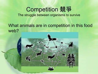Competition 競爭
    The struggle between organisms to survive


What animals are in competition in this food
web?
 