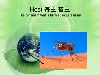 Host 寄主,宿主
   The organism that is harmed in parasitism




Host
 