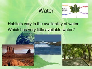 Water

Habitats vary in the availability of water
Which has very little available water?




                                             Sea and desert
 