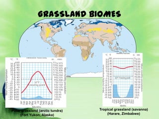 GRASSLAND BIOMES




Polar grassland (arctic tundra)   Tropical grassland (savanna)
     (Fort Yukon, Alaska)             (Harare, Zimbabwe)
 