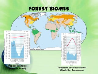 FOREST BIOMES




Tropical rain forest
 (Manaus, Brazil)               Temperate deciduous forest
                                  (Nashville, Tennessee)
 