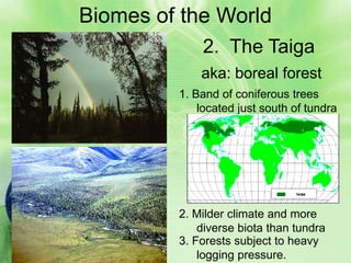 Biomes of the World
             2. The Taiga
             aka: boreal forest
         1. Band of coniferous trees
             located just south of tundra




         2. Milder climate and more
             diverse biota than tundra
         3. Forests subject to heavy
             logging pressure.
 