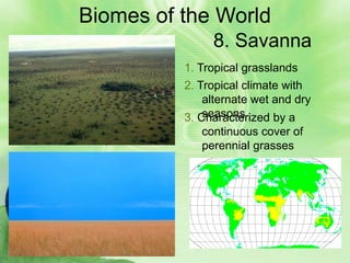 Biomes of the World
               8. Savanna
          1. Tropical grasslands
          2. Tropical climate with
              alternate wet and dry
              seasons
          3. Characterized by a
             continuous cover of
             perennial grasses
 