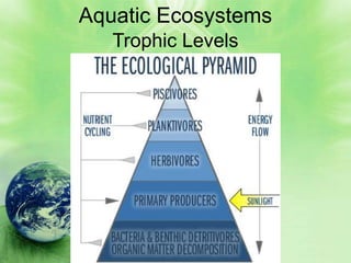 Aquatic Ecosystems
   Trophic Levels
 