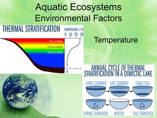 Aquatic Ecosystems
Environmental Factors

              Temperature
 