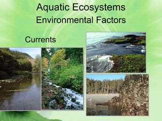Aquatic Ecosystems
  Environmental Factors

Currents
 
