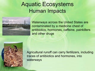 Aquatic Ecosystems
  Human Impacts

    Waterways across the United States are
    contaminated by a medicine chest of
    antibiotics, hormones, caffeine, painkillers
    and other drugs




 Agricultural runoff can carry fertilizers, including
 traces of antibiotics and hormones, into
 waterways
 
