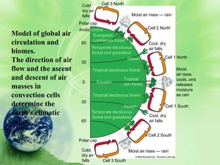 Cold,       Cell 3 North
                        dry air
                        falls                       Moist air rises — rain
                       Polar cap
                       Arctic tundra                         Cell 2 North
Model of global air             Evergreen
                                coniferous forest
circulation and         60                                    Cool, dry
                              Temperate deciduous             air falls
biomes.                        forest and grassland
                                                                      Cell 1 North
The direction of air    30
                                                  Desert

flow and the ascent           Tropical deciduous forest                      Moist
                                                                             air rises,
and descent of air                             Tropical                      cools, and
                        0         Equator      rain forest                   releases
masses in                                                                    moisture
convection cells              Tropical deciduous forest                      as rain
                        30
determine the                                 Desert                   Cell 1 South
earth’s climatic             Temperate deciduous
                             forest and grassland             Cool, dry
zones.                  60                                    air falls


                                                             Cell 2 South
                       Polar cap

                        Cold,                      Moist air rises — rain
                        dry air
                        falls       Cell 3 South
 