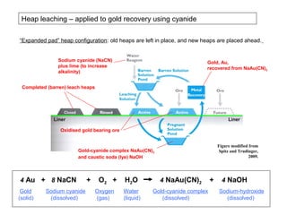 Heap leaching – applied to gold recovery using cyanide

“Expanded pad” heap configuration: old heaps are left in place, and new heaps are placed ahead.


               Sodium cyanide (NaCN)                                      Gold, Au,
               plus lime (to increase                                     recovered from NaAu(CN)2
               alkalinity)


 Completed (barren) leach heaps




              Liner                                                                    Liner

                Oxidised gold bearing ore


                                                                                  Figure modified from
                        Gold-cyanide complex NaAu(CN)2                             Spitz and Trudinger,
                        and caustic soda (lye) NaOH                                               2009.




4 Au + 8 NaCN              +       O2 +     H2O          4 NaAu(CN)2          +     4 NaOH
 Gold     Sodium cyanide          Oxygen    Water      Gold-cyanide complex       Sodium-hydroxide
(solid)    (dissolved)            (gas)     (liquid)      (dissolved)               (dissolved)
 