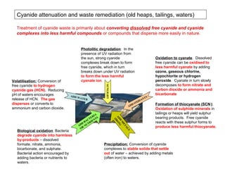 Cyanide attenuation and waste remediation (old heaps, tailings, waters)

  Treatment of cyanide waste is primarily about converting dissolved free cyanide and cyanide
  complexes into less harmful compounds or compounds that disperse more easily in nature.


                                     Photolitic degradation: In the
                                     presence of UV radiation from
                                     the sun, strong cyanide                                 Oxidation to cyanate. Dissolved
                                     complexes break down to form                            free cyanide can be oxidised to
                                     free cyanide, which in turn                             less harmful cyanate by adding
                                     breaks down under UV radiation                          ozone, gaseous chlorine,
                                     to form the less harmful                                hypochlorite or hydrogen
Volatilisation: Conversion of        cyanate ion.                                            peroxide. Cyanate in turn slowly
free cyanide to hydrogen                                                                     decomposes to form nitrate and




                                                      SUNLIGHT
cyanide gas (HCN). Reducing                                                                  carbon dioxide or ammonia and
pH of waters encourages         ADD W
                                                                                             bicarbonate
                                     A   TER                                            TS
release of HCN. The gas                                                               AN
                                                                                    ID
disperses or converts to                                                      D   OX         Formation of thiocyanate (SCN-).
                                                                            AD
ammonium and carbon dioxide.                                                                 Oxidation of sulphide minerals in
                                                 A
                                                                                             tailings or heaps will yield sulphur
                                              RI                                             bearing products. Free cyanide
                                            TE NTS
                                                                 AD RO
                                          C
                                                                  (I


                                        BA IE
                                                                   D N)
                                      D UTR                                                  reacts with these sulphur forms to
                                                                     M
                                    AD N
                                                                       ET

                                     OR
                                                                                             produce less harmful thiocyanate.
                                                                          AL

  Biological oxidation. Bacteria
                                                                             S


  degrade cyanide into harmless
  by-products – dissolved
  formate, nitrate, ammonia,                         Precipitation: Conversion of cyanide
  bicarbonate, and sulphate.                         complexes to stable solids that settle
  Bacterial action encouraged by                     out of water – achieved by adding metals
  adding bacteria or nutrients to                    (often iron) to waters.
  waters.
 