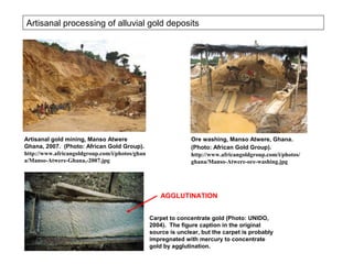 Artisanal processing of alluvial gold deposits




Artisanal gold mining, Manso Atwere                            Ore washing, Manso Atwere, Ghana.
Ghana, 2007. (Photo: African Gold Group).                      (Photo: African Gold Group).
http://www.africangoldgroup.com/i/photos/ghan                  http://www.africangoldgroup.com/i/photos/
a/Manso-Atwere-Ghana,-2007.jpg                                 ghana/Manso-Atwere-ore-washing.jpg




                                                    AGGLUTINATION


                                                Carpet to concentrate gold (Photo: UNIDO,
                                                2004). The figure caption in the original
                                                source is unclear, but the carpet is probably
                                                impregnated with mercury to concentrate
                                                gold by agglutination.
 