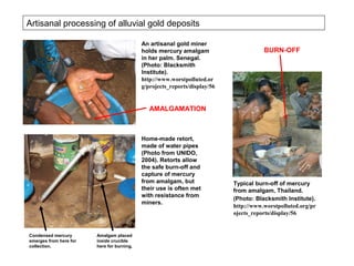 Artisanal processing of alluvial gold deposits

                                            An artisanal gold miner
                                            holds mercury amalgam                      BURN-OFF
                                            in her palm. Senegal.
                                            (Photo: Blacksmith
                                            Institute).
                                            http://www.worstpolluted.or
                                            g/projects_reports/display/56


                                               AMALGAMATION



                                            Home-made retort,
                                            made of water pipes
                                            (Photo from UNIDO,
                                            2004). Retorts allow
                                            the safe burn-off and
                                            capture of mercury
                                            from amalgam, but               Typical burn-off of mercury
                                            their use is often met          from amalgam, Thailand.
                                            with resistance from
                                                                            (Photo: Blacksmith Institute).
                                            miners.
                                                                            http://www.worstpolluted.org/pr
                                                                            ojects_reports/display/56


Condensed mercury       Amalgam placed
emerges from here for   inside crucible
collection.             here for burning.
 