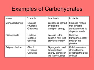 Examples of Carbohydrates
Name Example In animals In plants
Monosaccharide •Glucose
•Fructose
•Galactose
Glucose is carried
by blood to
transport energy
Fructose makes
fruit sweet to
attract animals to
disperse seeds
Disaccharide •Lactose
•Maltose
•Sucrose
Lactose is the
sugar in milk that
provides energy
Sucrose
transports energy
through the
phloem
Polysaccharide •Starch
•Gycogen
•Cullulose
Glycogen is used
for short-term
energy storage in
the liver/muscles
Cellulose makes
strong fiber to
construct the plant
cell wall
 