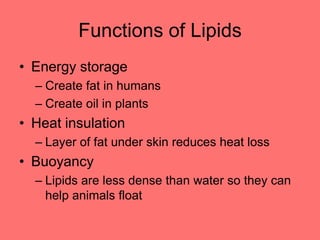 Functions of Lipids
• Energy storage
– Create fat in humans
– Create oil in plants
• Heat insulation
– Layer of fat under skin reduces heat loss
• Buoyancy
– Lipids are less dense than water so they can
help animals float
 