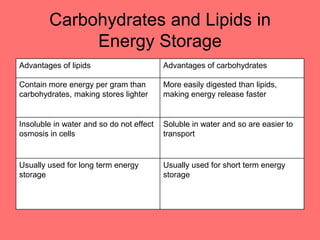 Carbohydrates and Lipids in
Energy Storage
Advantages of lipids Advantages of carbohydrates
Contain more energy per gram than
carbohydrates, making stores lighter
More easily digested than lipids,
making energy release faster
Insoluble in water and so do not effect
osmosis in cells
Soluble in water and so are easier to
transport
Usually used for long term energy
storage
Usually used for short term energy
storage
 