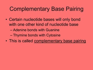 Complementary Base Pairing
• Certain nucleotide bases will only bond
with one other kind of nucleotide base
– Adenine bonds with Guanine
– Thymine bonds with Cytosine
• This is called complementary base pairing
 