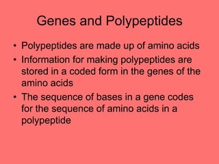 Genes and Polypeptides
• Polypeptides are made up of amino acids
• Information for making polypeptides are
stored in a coded form in the genes of the
amino acids
• The sequence of bases in a gene codes
for the sequence of amino acids in a
polypeptide
 