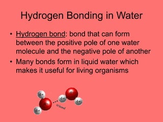 Hydrogen Bonding in Water
• Hydrogen bond: bond that can form
between the positive pole of one water
molecule and the negative pole of another
• Many bonds form in liquid water which
makes it useful for living organisms
 