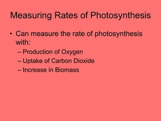 Measuring Rates of Photosynthesis
• Can measure the rate of photosynthesis
with:
– Production of Oxygen
– Uptake of Carbon Dioxide
– Increase in Biomass
 